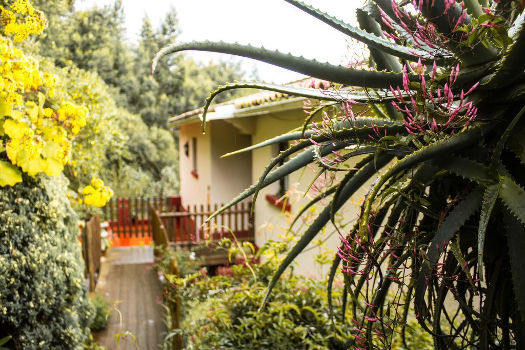 Apartamento Hortensia Gardens Funchal (Madeira)
